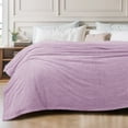 thumbnail image 3 of Exclusivo Mezcla Fuzzy Fleece Twin Size Bed Blanket, Lightweight Fluffy Solid Velvet Twin Blankets, 60x80 Inches, Light Purple, 3 of 11