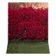 thumbnail image 1 of Pared de Flores Multifuncional 210X150Cm Fondo de FotografíA Rosa DecoracióN de Fiesta de Boda Fondos de FotografíA 3D, H5, 1 of 5