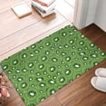 thumbnail image 5 of Balery Kiwi Fruit Doormat, Durable Flannel Fabric, Waterproof Stain and Fade Resistant, Low Profile,Indoor Outdoor Door Mats, Easy Clean Patio Entrance Mat, 16x24in, 5 of 9