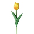 thumbnail image 1 of Moyic 10X Artificial PU Simulación Flores falsas Ramo Flores Boda Realista para Garden Party Accesorios de oficina Flores artificiales Naranja, 1 of 6