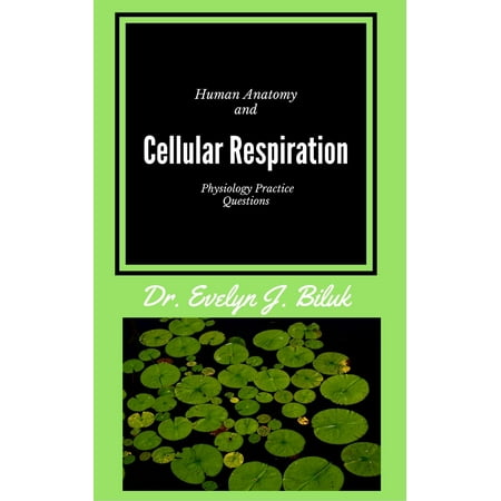 Human Anatomy and Physiology Practice Questions: Cellular Respiration -