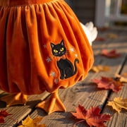 Halloween Witch Themed Dress And Hat Set For 19 To 23 Inch Porch Goose Statue Fall Yard Decor With Black Cat And Pumpkin Motifs
