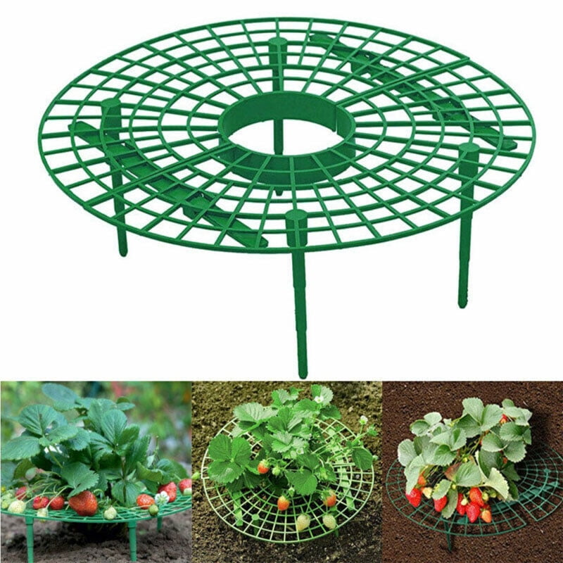 1/5Strawberry Plant Growing Supports Keep Strawberries Off Rot in the Rainy Day 