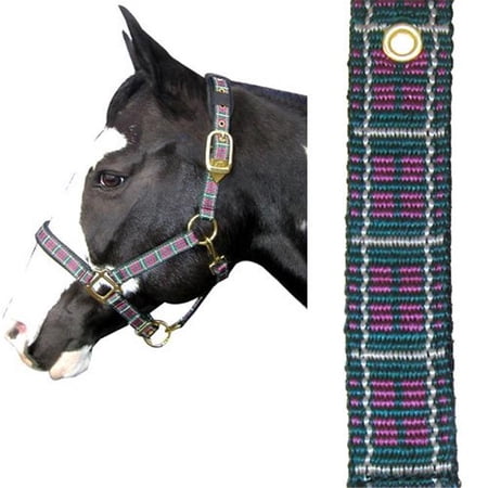 Intrepid International 128002HM Plaid Nylon Padded Horse Halter with Solid Brass Hardware, Hunter Green & Burgundy Cob