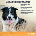thumbnail image 3 of Pet MD - Oatmeal & Aloe Shampoo for Cats and Dogs for Itch Relief - 16oz, 3 of 8