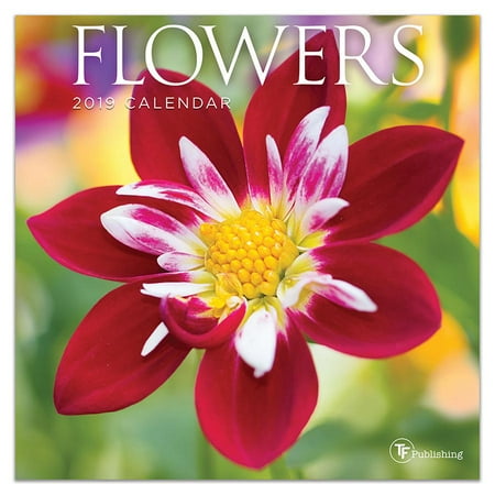 Flowers 2010 Wall Calendar - 2019 Flowers 7
