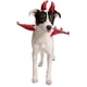thumbnail image 1 of Costume Pet Krewe Devil para perros y gatos se ajusta a cualquier arnés, 1 of 9