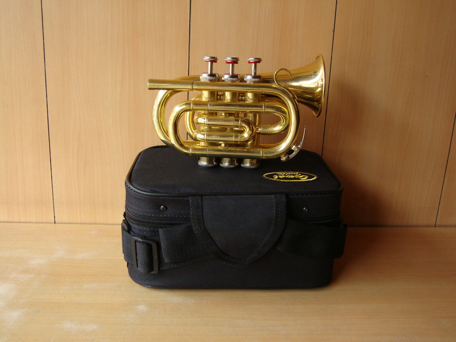 NEW MONTH SALE Pocket Trumpet 3 Valve's Shinning Brass with Mouthpiece and Case