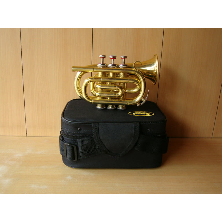 NEW MONTH SALE Pocket Trumpet 3 Valve's Shinning Brass with Mouthpiece and  Case 