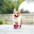 thumbnail image 3 of Minzimin Dog Shoes for Small Dogs, Anti-Slip Dogs Boots & Paw Protector for Winter Snowy Day, Summer Hot Pavement Dog Booties with Reflective Straps, Cat Dog Shoe for Indoor Hardfloors, 3 of 7