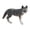 F, variant on YIFAEUX Roaring Walking Wolf Figurine Realistic Forest Animal Model Miniature Woodland Creatures Figure Kids Educational Wild Animal Toy Cake Topper Decoration