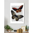 thumbnail image 2 of Vintage Butterflies Wrapped Canvas -Fab Funky Designs,, 2 of 3