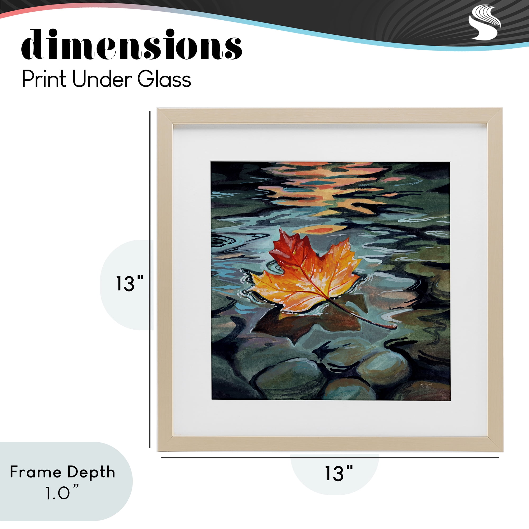 Stupell Industries Maple Leaf Floating in Stream Birch Framed Print Under Glass, design by Kate Jarvik Birch