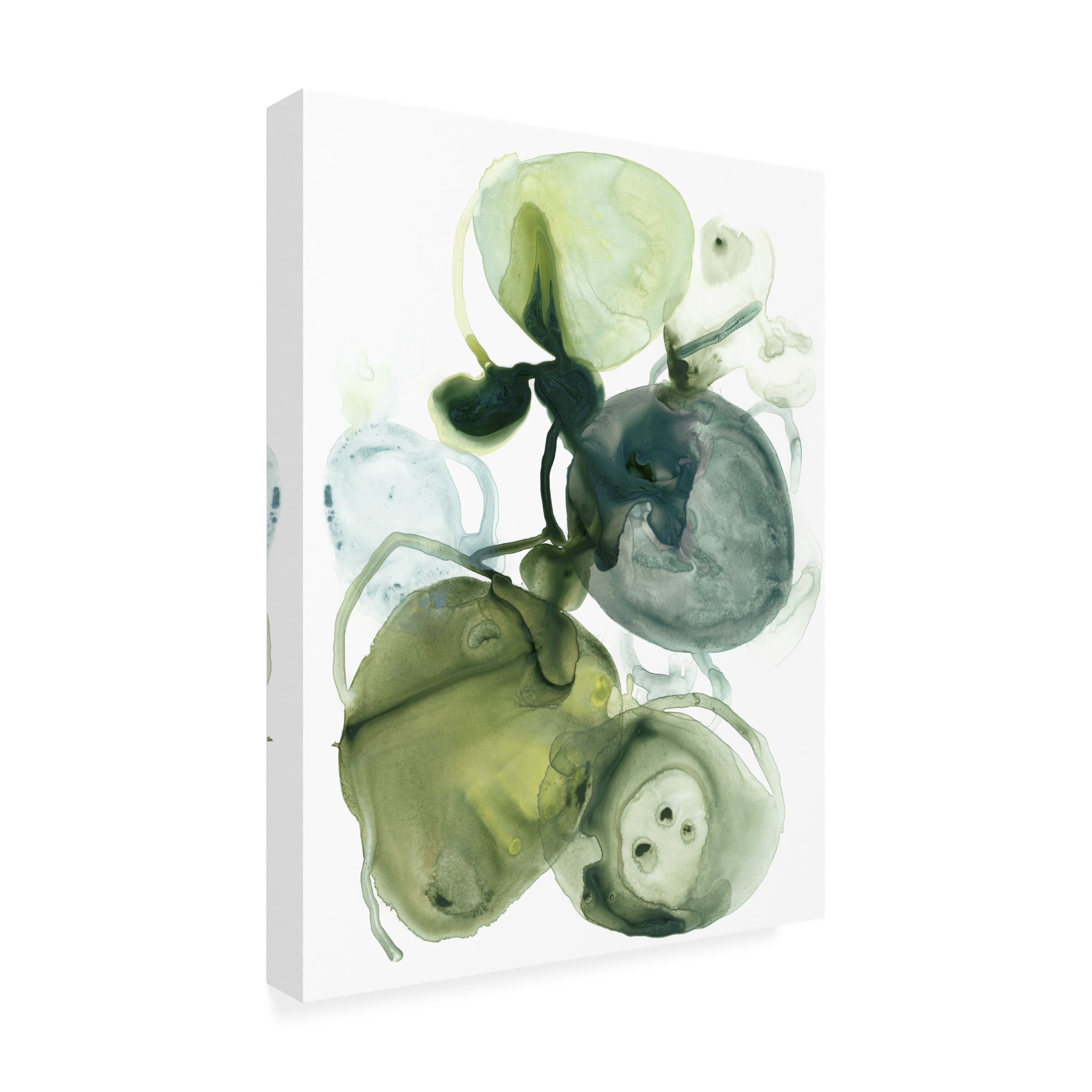 June Erica Vess 'Orbital Lichen I' Canvas Art