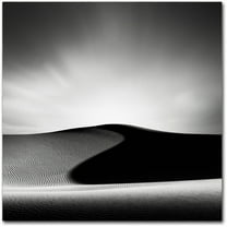 Trademark Fine Art Dave MacVicar 'Dark Shadows' 35 x 35 (ALI0869-C3535GG)