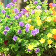 thumbnail image 4 of 15 paquetes de flores artificiales para exteriores, plantas resistentes a los arbustos de plástico falso para interiores y exteriores, jarrones, plantas colgantes, macetas, jardín, porche, decora, 4 of 5