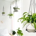 thumbnail image 3 of Macrame Plant Hanger Indoor Hanging Planter Basket with Wood Beads Decorative Flower Pot Holder No Tassels for Indoor Outdoor Boho Home Decor, 3 of 6