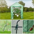 thumbnail image 3 of Towallmark Portable Greenhouse, 56"x83"x75" Walk-in Small Greenhouse with Steel Frame & PE Cover, Heavy Duty Plant House for Garden, Instant Assembly Greenhouse Kit with Zippered Door (Green), 3 of 6