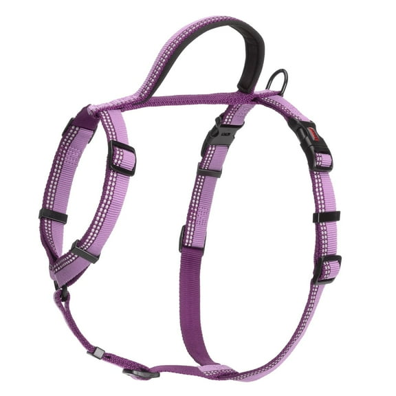 HALTI Nylon Dog Walking Harness, Medium, Purple (Chest 22" - 30")