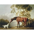 thumbnail image 2 of Art.com Bay Horse and White Dog Stretched Canvas Print Wall Art by George Stubbs, 16" x 12", 2 of 4