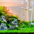 thumbnail image 6 of 4Pack 16mm/0.63"OD Aquarium Nozzle Plastic Pump Nozzles Water Black Thread Diameter G1/2, 6 of 6
