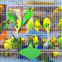 LOLIPPYY Bird Cage Heater For Parrots Bird Platform Stand ABS Green For Bird Owners 1Pack