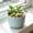 205#Blue, variant on Plastic Flower Pots Linear Pattern Set, Sturdy Durable Planters for Indoor Outdoor Plants, Drainage Hole Pots for Succulents and Herbs, Minimalist Decor Planter for Home and Office