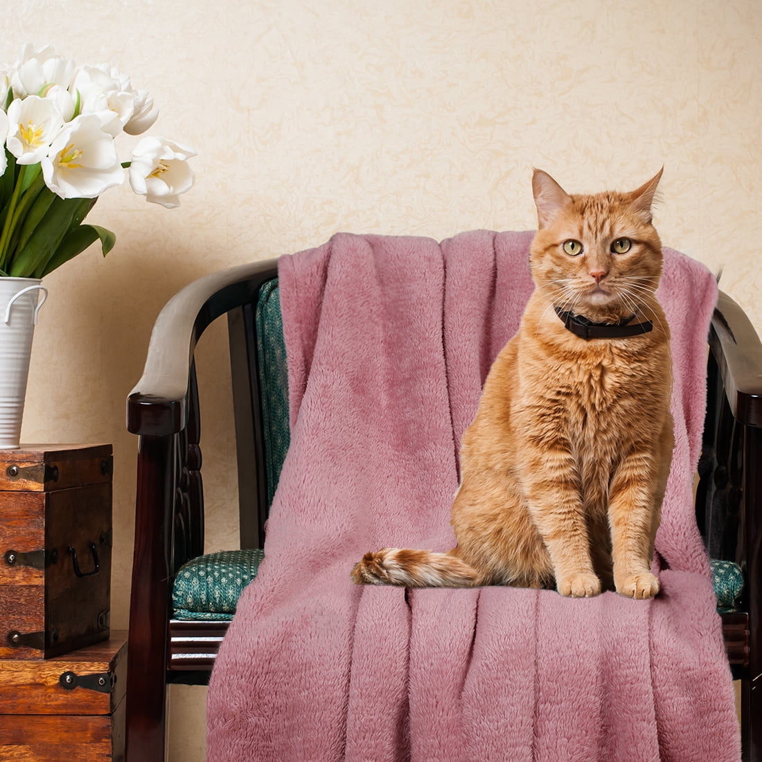 Fluffy Fleece Dog Blanket, Soft and Warm Medium Pet Throw Blankets