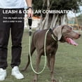 thumbnail image 3 of Truelove Pet Training Leash and Collar Durable Slip Lead Dog Leash Heavy Duty Comfortable Strong Rope Leash No Pull Pet TLL2575 ShopWise Round, 3 of 15