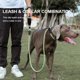 thumbnail image 3 of Truelove Pet Training Leash and Collar Durable Slip Lead Dog Leash Heavy Duty Comfortable Strong Rope Leash No Pull Pet TLL2575 ShopWise Round, 3 of 15