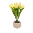 thumbnail image 2 of Yunuuuoa LED Table Lamp, Imitation Flower Shaped Night Light with USB Port, Decorative Bedside Lamp for Home Bedroom Decor, Warm White Dimmable Ambient Lighting Gift Idea, 2 of 8