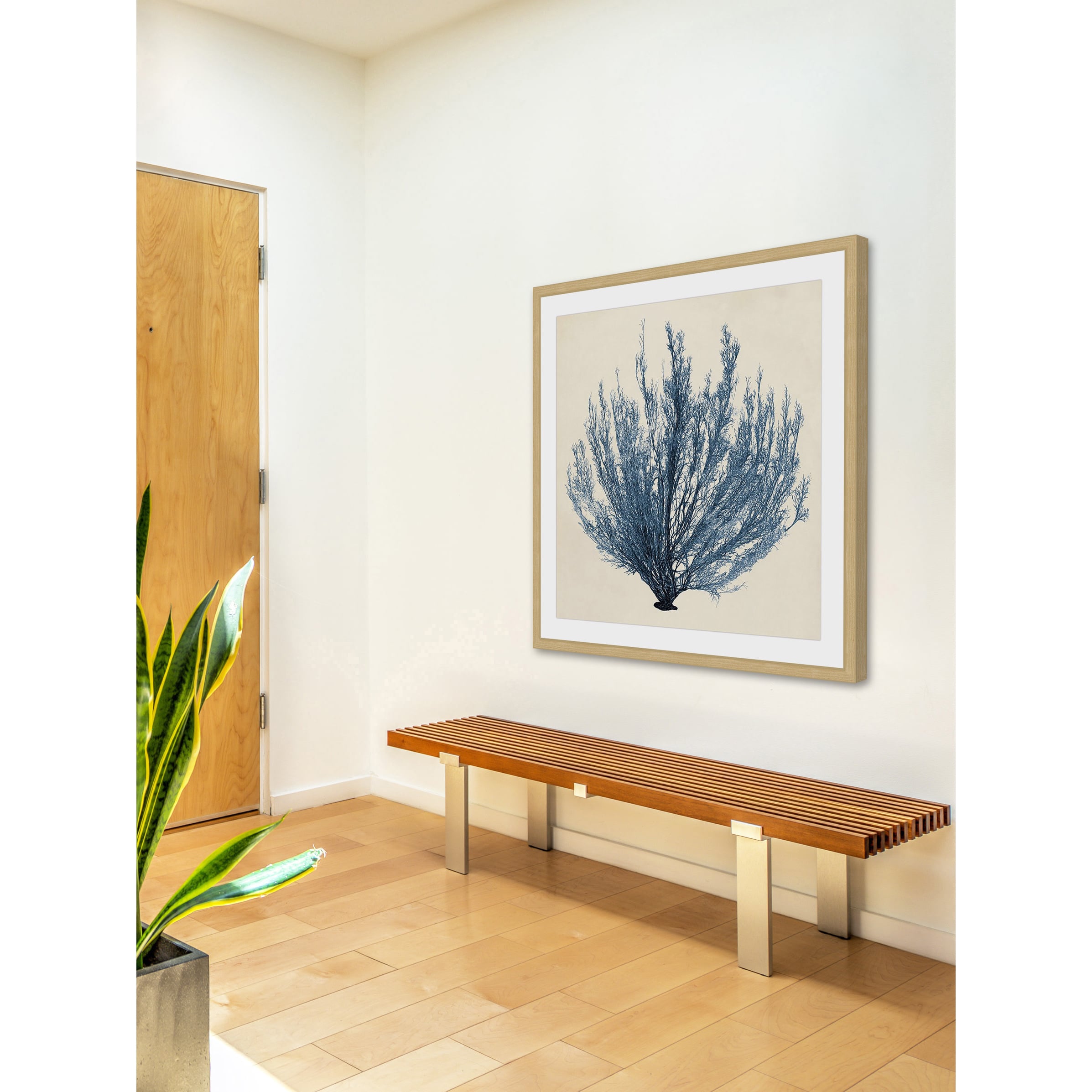 Marmont Hill "Coastal Seaweed III" Framed Painting Print