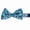 Penguin, variant on Dog Bow Tie