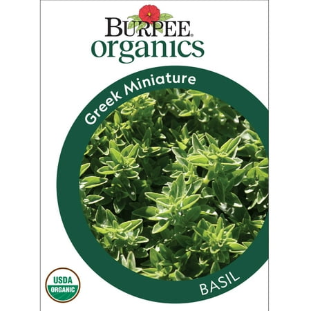 Burpee Organic Greek Miniature Basil Herb Seed, 1-Pack