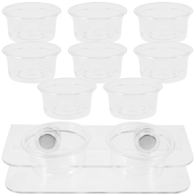 Comedero para reptiles, estantes de pared, agua, magnético, lagartos, plástico acrílico