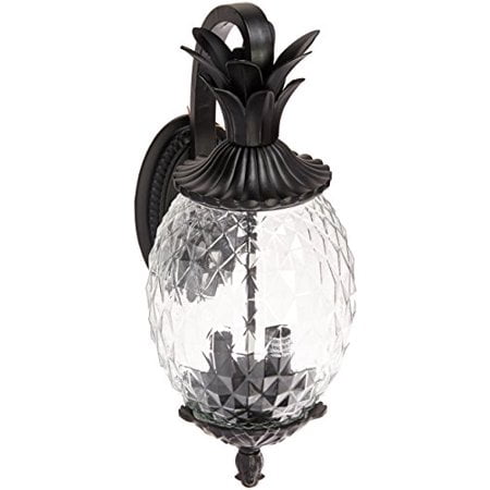 Acclaim 7502BK Lanai Collection 2-Light Wall Mount Outdoor Light Fixture, Matte Black