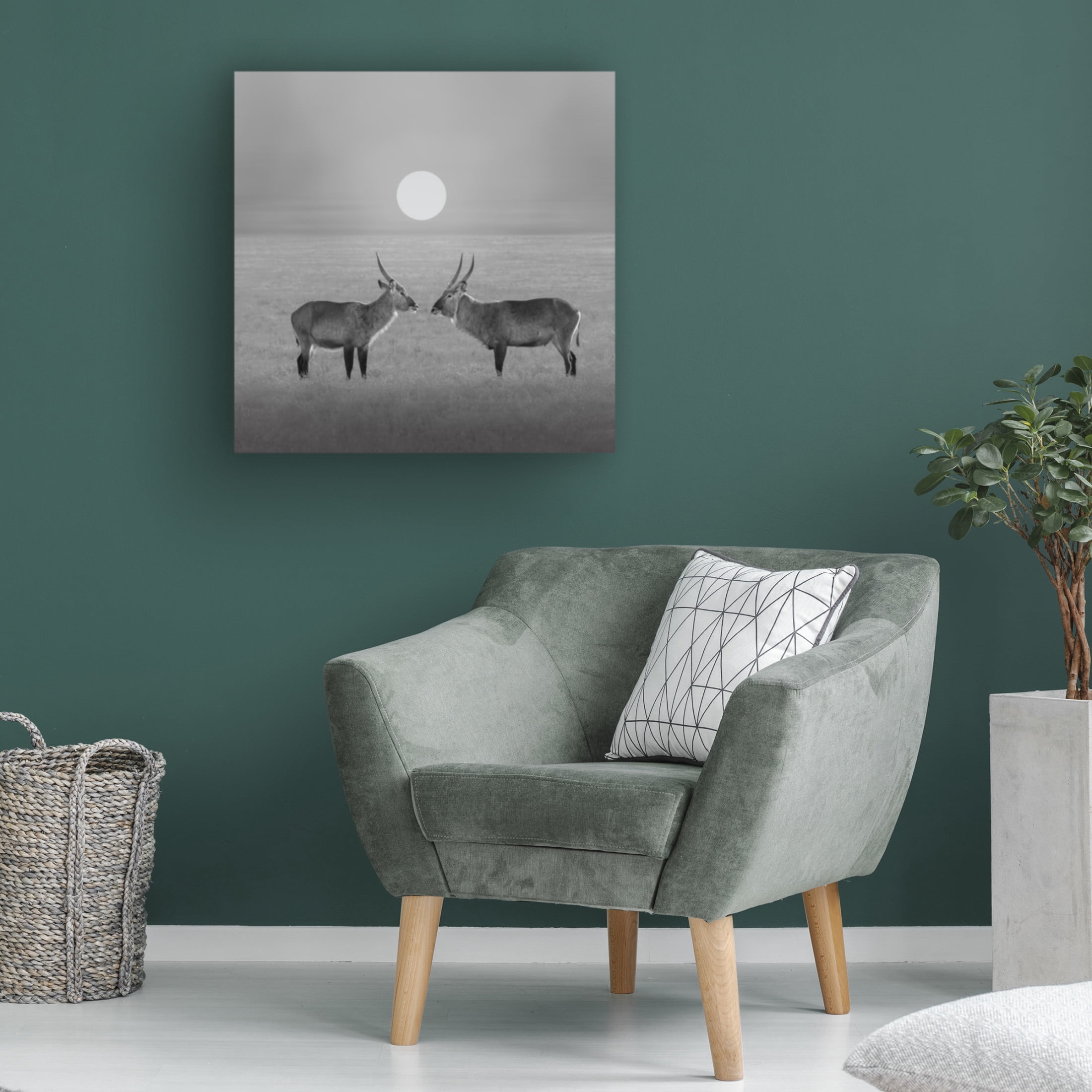 Trademark Fine Art Julia Chen Eye to Eye Canvas Wall Art