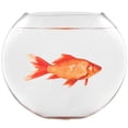 thumbnail image 2 of VWAQ Goldfish Fishbowl Wall Stickers - Funny Vinyl Decals Humorous Art Decor - FWP7 …, 2 of 2