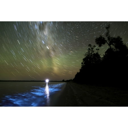 Victorian Star - Star trails and bioluminescence in the Gippsland Lakes Victoria Australia Poster Print