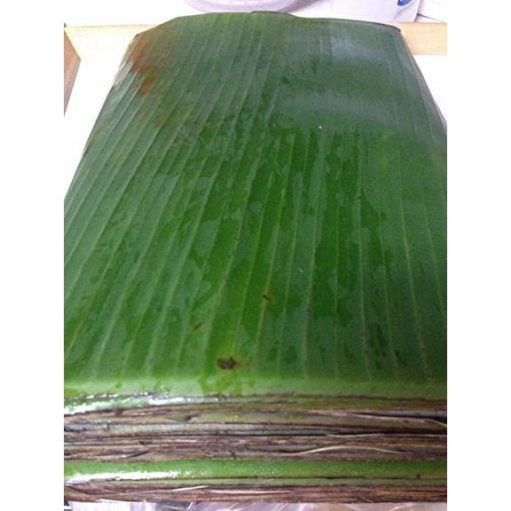 5 pounds Fresh Banana leaves - use for cooking - m139