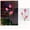 Pink, variant on Solar Tulip Stake Lights, 31.5 Inch Outdoor Garden Pathway Lamp, Waterproof LED Flower Decor, for Yard Lawn Patio