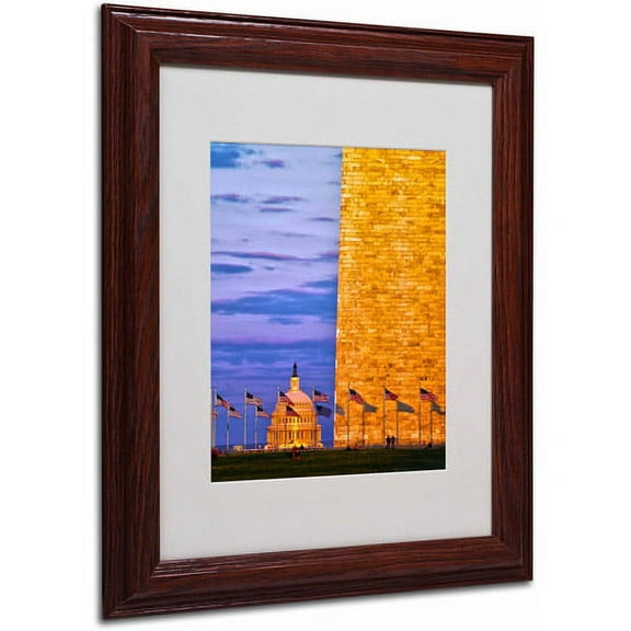 Trademark Fine Art "America" Canvas Art by CATeyes, Wood Frame