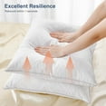 thumbnail image 6 of Lewondr 18x18 inch Pillow Insert Set of 2, Down and Feather Throw Pillow Inserts Premium Soft Fluffy with Piping Edge, 100% Down-Proof Square Pillow Insert for Living Room Sofa Couch Bed, White, 6 of 10