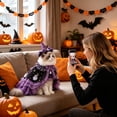 thumbnail image 4 of Halloween Cat Witch with Adjustable Cloak, Black and Purple Wizard Cape with Pumpkin Ornament and Hat for Medium Large Cats, Pet Apparel and Accessories, 4 of 5
