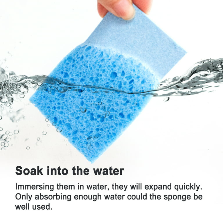 New Creative Kitchen Dish Bowl Cleaning Sponge Compressed Natural Cellulose  Spong - China Scouring Pad and Water Absorption Swells price