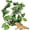 3.2 Ft Thin Vines 1 pc, variant on 3FT Snake Vines for Climbing Enclosure Jungle Vines Leaves Habitat Terrarium for Reptile Snake Chameleon Ball Python