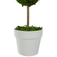 thumbnail image 3 of 14" Green Reindeer Moss Ball Potted Artificial Topiaries Spring Tree, 3 of 4