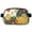 Pizza (19)_11, variant on Cross Body Bag for Men&Women Waist Bag & Hip Bum Bag with Adjustable Strap for Outdoors Workout Traveling Starfish Sporty Waist Pack