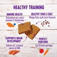 Wellness Soft Puppy Bites Natural GrainFree Treats for Training, Dog