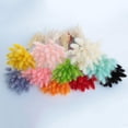 thumbnail image 1 of 20 piezas de flores secas naturales de cola de conejo para decoración del hogar, arreglos florales, ramos largos, 1 of 4
